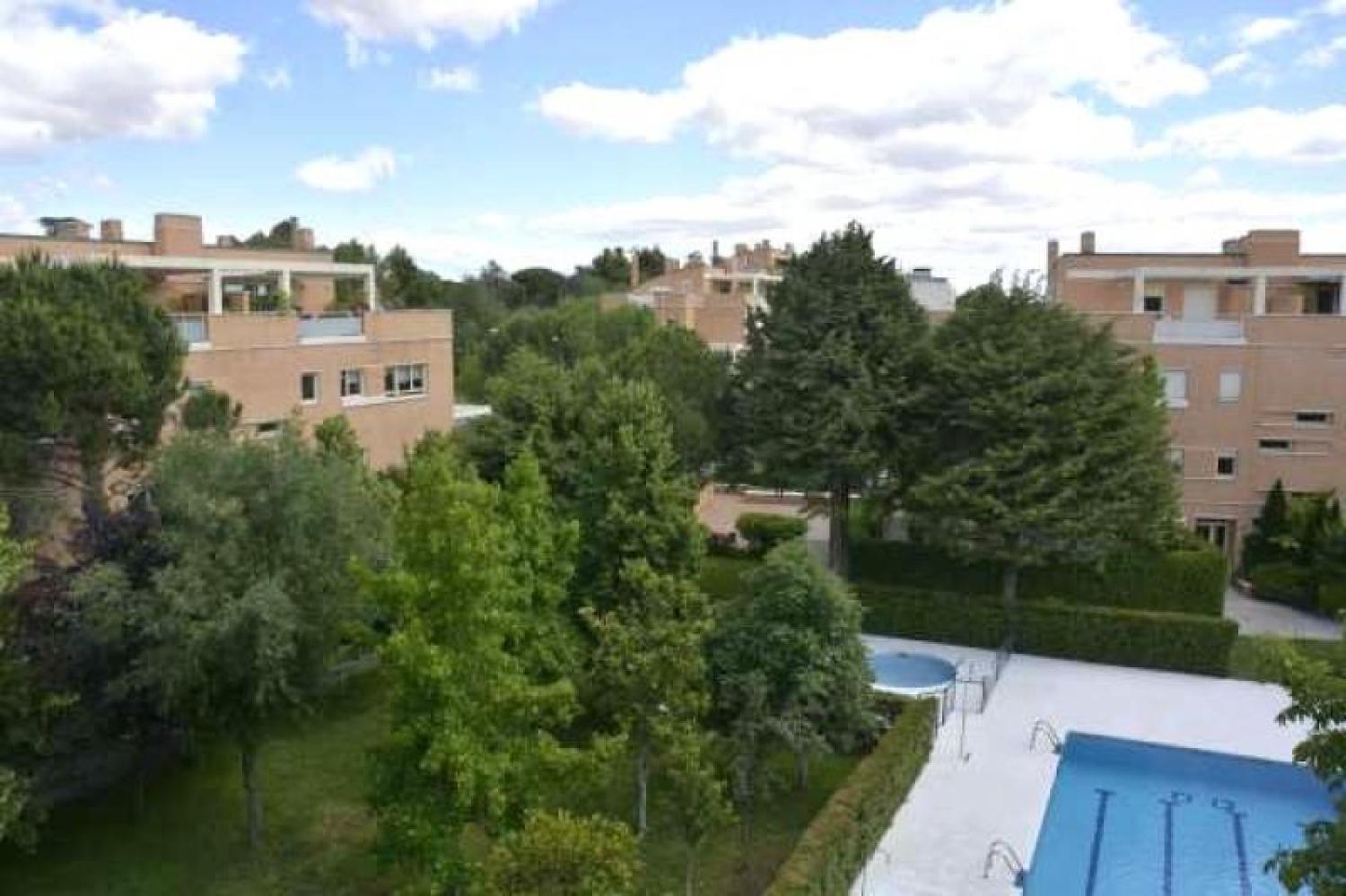 Vistas