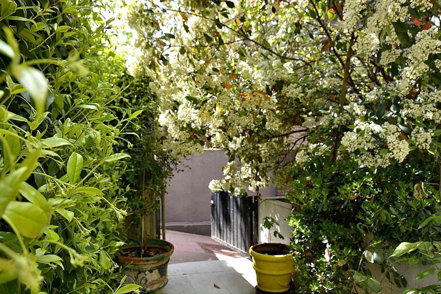 entrada 