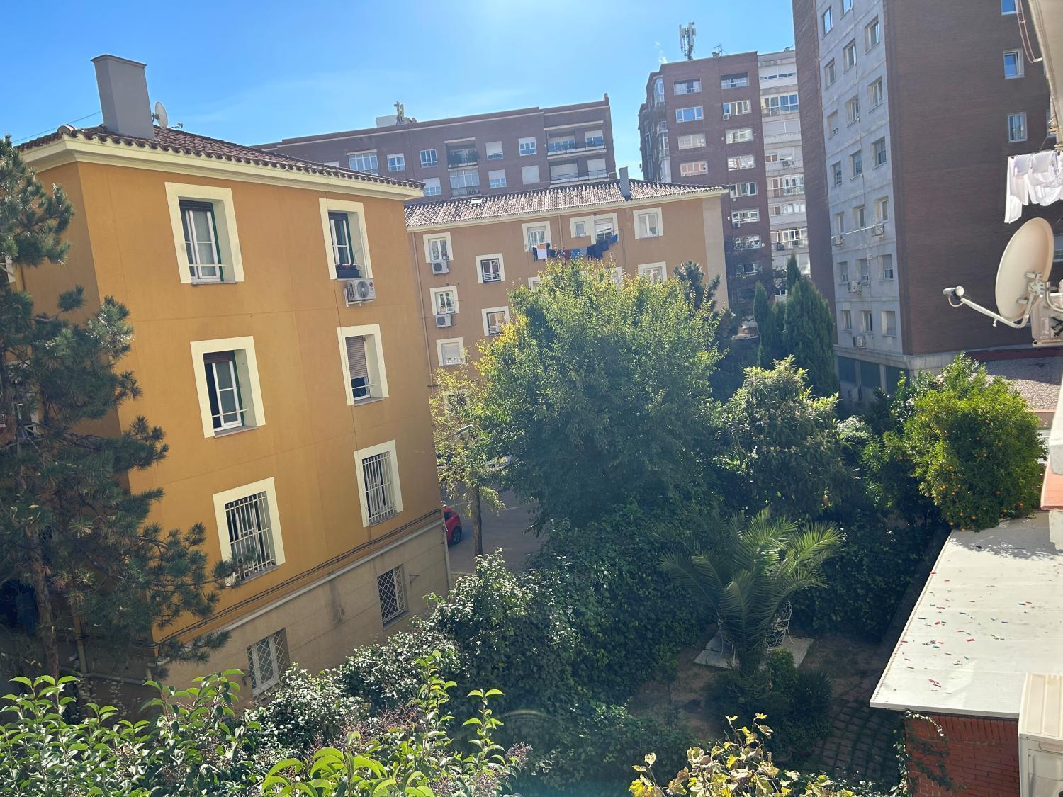 Vistas