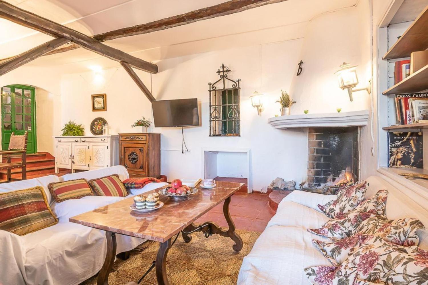 Sala de Estar con Chimenea